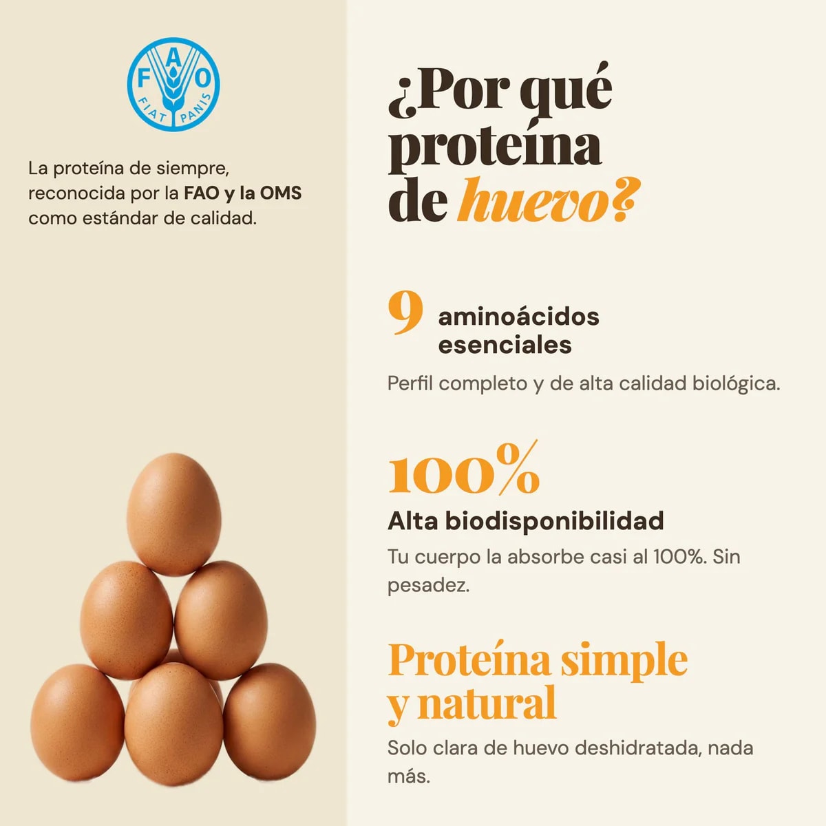 Sapien Maní-Cacao