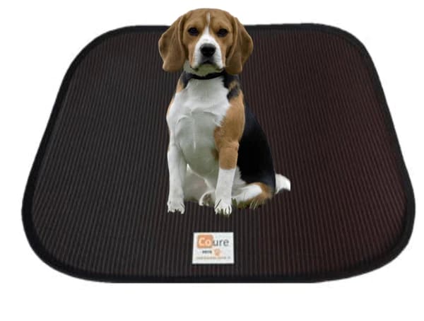 ALMOHADILLA NEGRA CON COBRE ACTIVO TALLA L - XL1