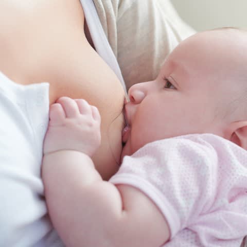 PROTECTOR DE PEZÓN SILICONA PIGEON1