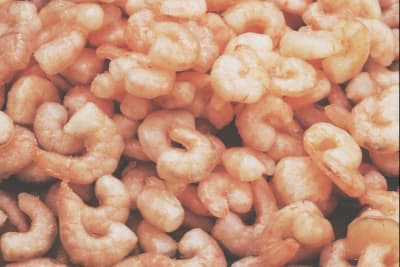 camarones