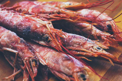 Langostino patagónico premium