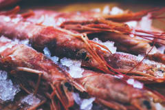 Langostino patagónico premium