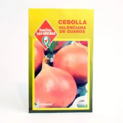 Semillas Sobre Las Encinas Cebolla Valenciana de Guarda