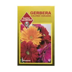 Semillas Sobre Las Encinas gerbera variada