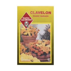 Semillas Sobre Las Encinas Clavelon Enano Variado