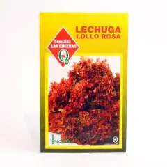 Semillas Sobre Las Encinas Lechuga Lollo Rosa
