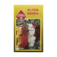 Semillas Sobre Las Encinas Alcea Rosea