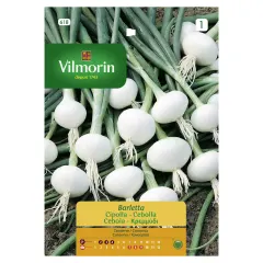 Sobre Semillas Vilmorin Cebollin Barletta