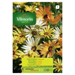 Sobre Semillas Vilmorin Dimorfoteca