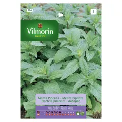 Sobre Semillas Vilmorin Menta Piperita