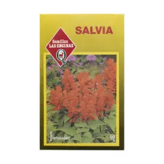 Semillas Sobre Las Encinas Salvia Flores