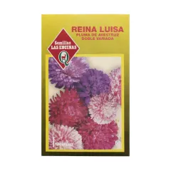 Semillas Sobre Las Encinas Reina Luisa Pluma De Avestruz Doble Variada