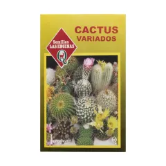 Semillas Sobre Las Encinas cactus variados