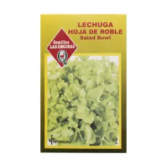 Semillas Sobre Las Encinas Lechuga Hoja de Roble