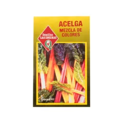 Semillas Sobre Las Encinas Acelga mezcla de colores