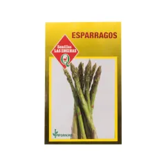 Semillas Sobre Las Encinas Espárrago