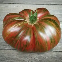 Sobre Semillas Tomate Antiguo Orgánico # 22 Fred´s Tie Dye 10 semillas