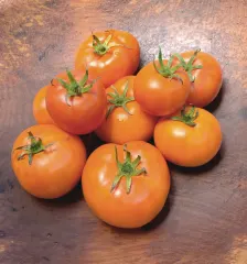 Sobre Semillas Tomate Antiguo Orgánico # 35 Caro Rich 10 Semillas