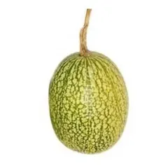 Semillas de Alcayota natural Chilena sobre 10 unidades
