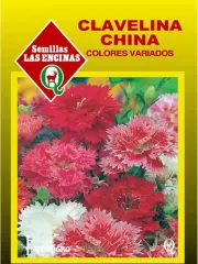 Semillas Sobre Las Encinas Clavelina China Colores Variados