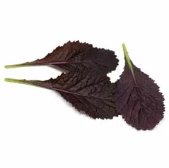 Semillas Mostaza Roja Double Face 3 gr.