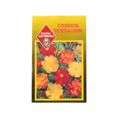 Semillas Sobre Las Encinas Cosmos Sulphureus