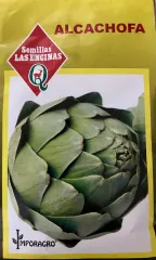Semillas Sobre Las Encinas Alcachofa