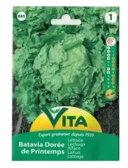 Sobre Semillas Vilmorin Lechuga Batavia de Primavera Vita