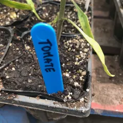 Etiquetas para marcar Plantas L4 Negra rígida de 10 cm unidad con orificio