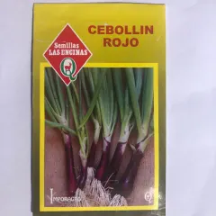 Semillas Sobre Las Encinas Cebollin rojo