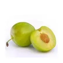 Árbol Frutal Ciruelo Reina Claudia
