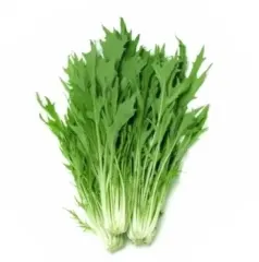 Semillas Mizuna Verde 3 gr