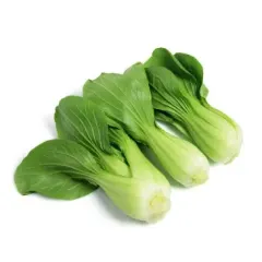 Semillas Pak Choi 3 gr