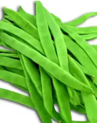Semillas Poroto Verde Apolo 20 gr