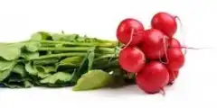 Semillas Rabanito Rojo 3 gr
