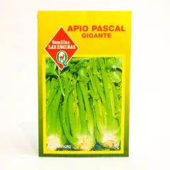 Semillas Sobre Las Encinas Apio Pascal