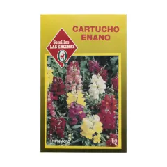 Semillas Sobre Las Encinas Cartucho Enano