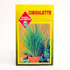 Semillas Sobre Las Encinas Ciboulette