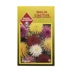 Semillas Sobre Las Encinas Dalia Cactus
