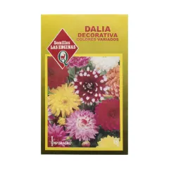 Semillas Sobre Las Encinas Dalia Decorativa