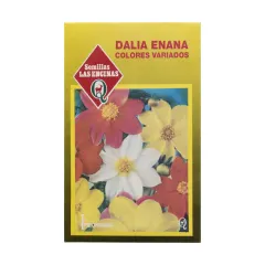 Semillas Sobre Las Encinas Dalia Enana