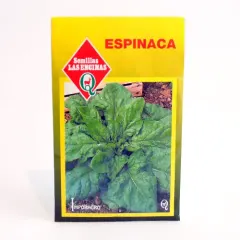Semillas Sobre Las Encinas Espinaca