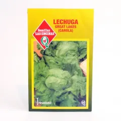 Semillas Sobre Las Encinas Lechuga Carola