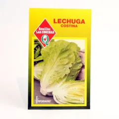 Semillas Sobre Las Encinas Lechuga Costina