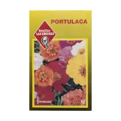 Semillas Sobre Las Encinas Portulaca
