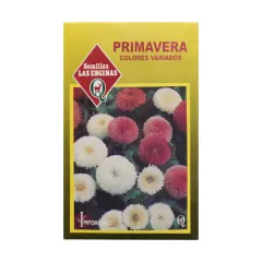 Semillas Sobre Las Encinas Primavera