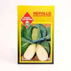 Semillas Sobre Las Encinas Repollo Corazon de Buey