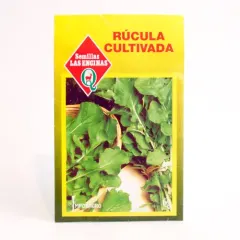 Semillas Sobre Las Encinas Rucula Cultiva