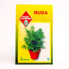 Semillas Sobre Las Encinas Ruda