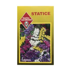 Semillas Sobre Las Encinas Statice